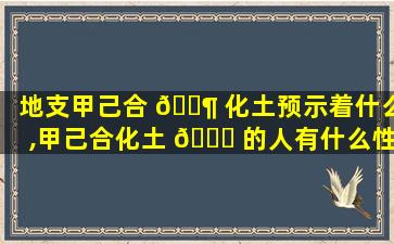 地支甲己合 🐶 化土预示着什么,甲己合化土 🐋 的人有什么性格特征